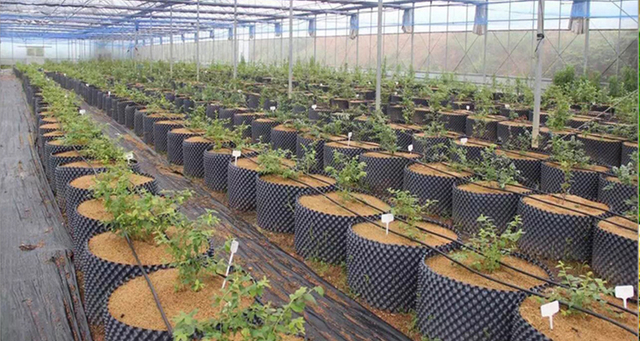 Горшок для обрезки воздуха из ПВХ/ПЭВП для детской комнаты 