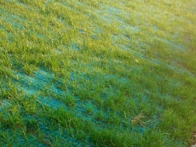 Одеяло/циновка для борьбы с эрозией кокосового волокна, усиленные Нонвовен и Георешеткой