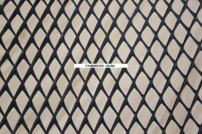 2D Geonet для подпорной стены дренажного слоя защиты откосов 1