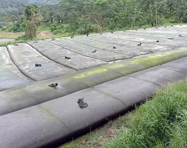 Pioneertex Geosynthetic Technical Deam