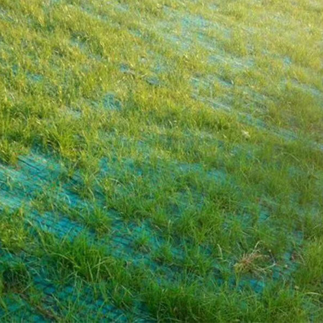 Одеяло для борьбы с эрозией кокосового волокна (мат для армирования дерновины) для защиты склонов и растительности